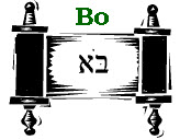 Bo