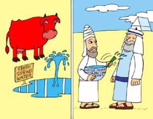 para aduma para aduma