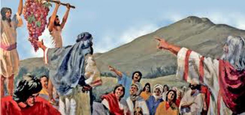 La tierra que mana leche y miel